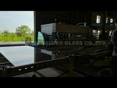 Tempered Glass